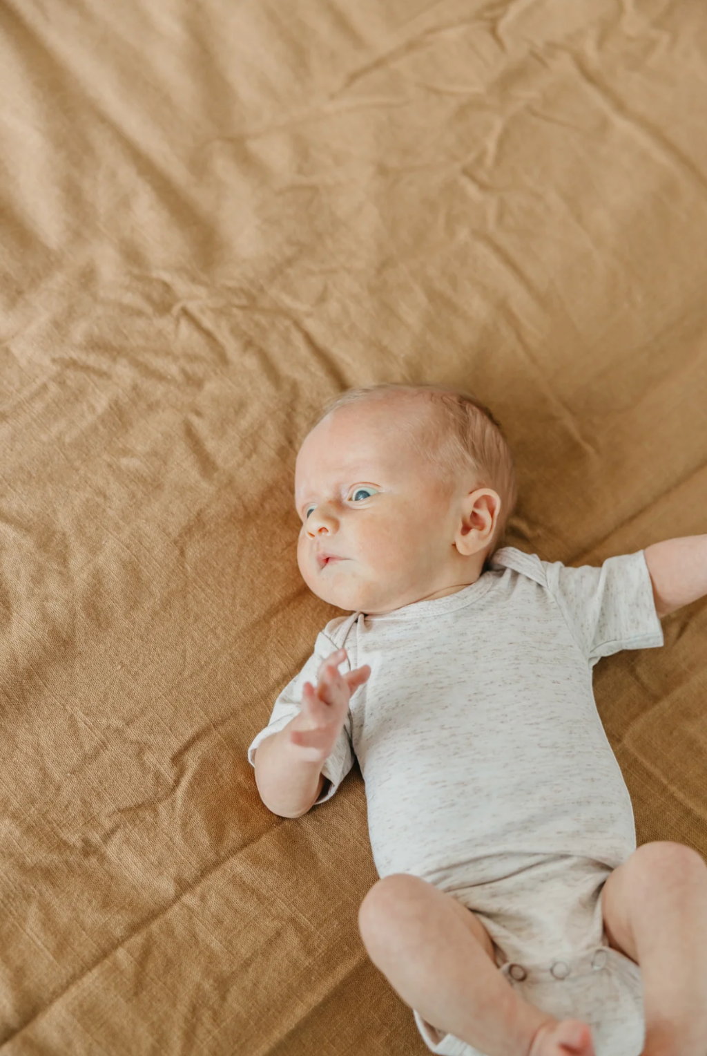 Oat Short Sleeve Baby Bodysuit | Copper Pearl