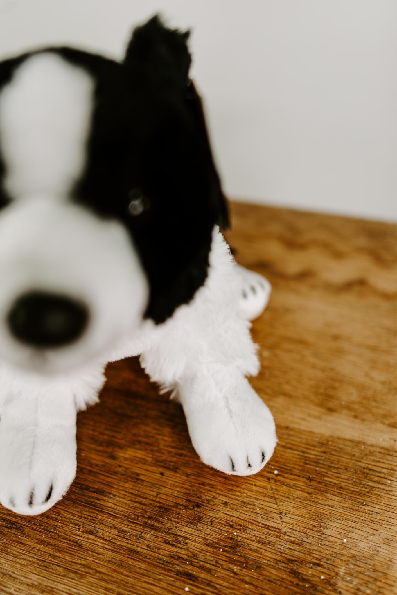 large border collie soft toy