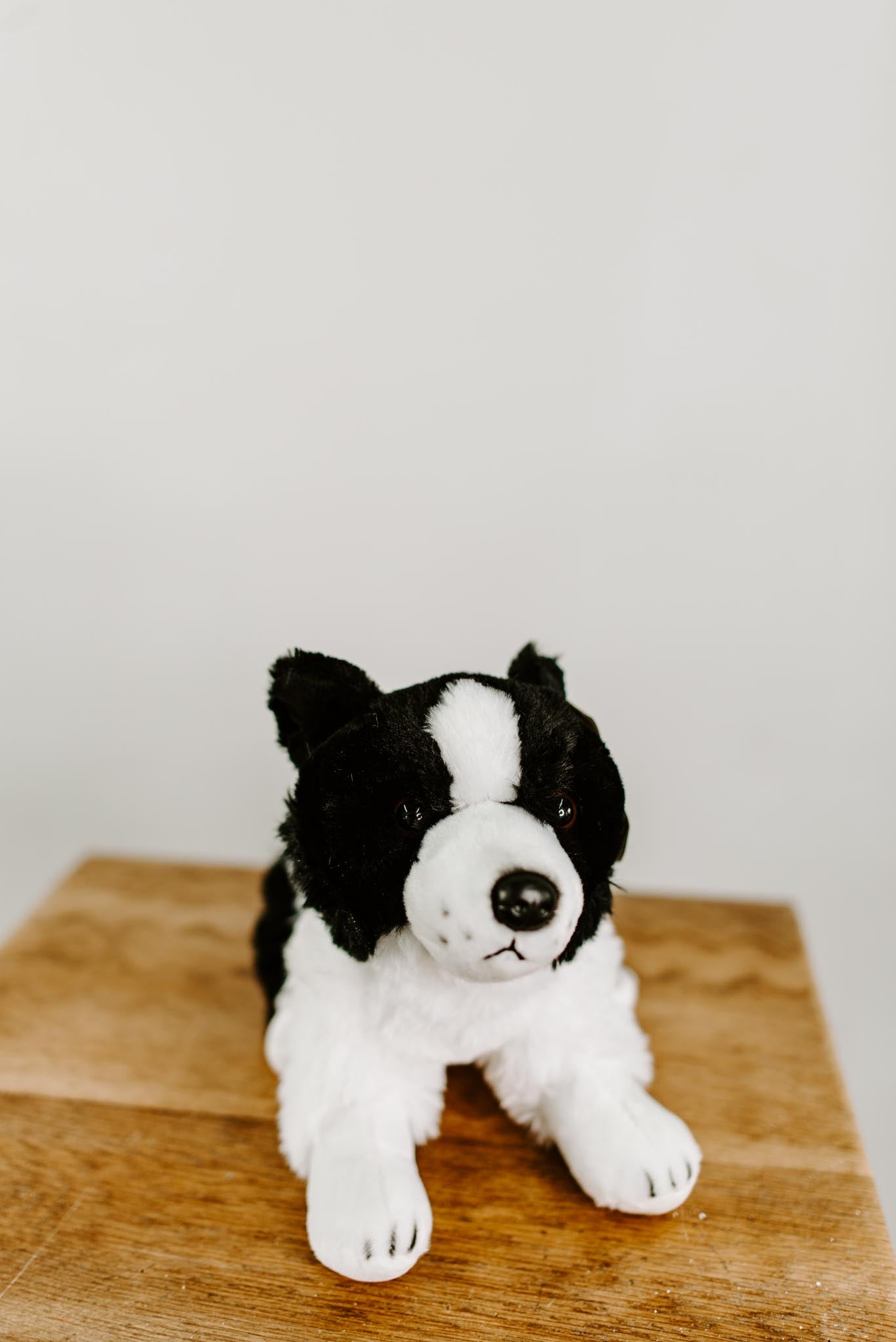 large border collie soft toy